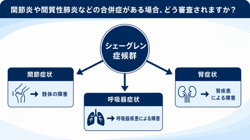 シェーグレン2