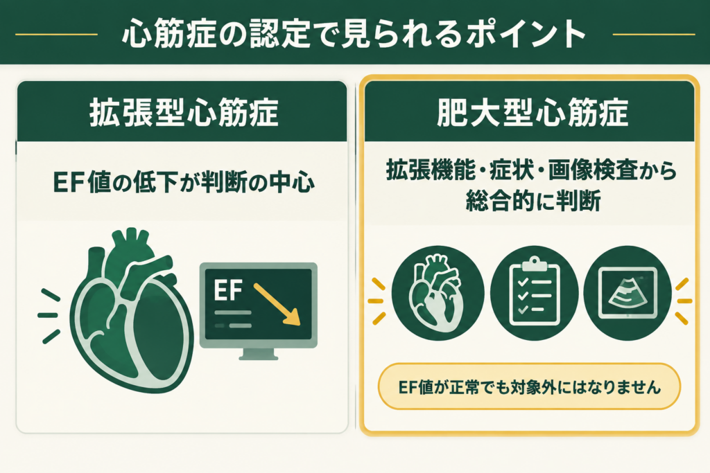 拡張型心筋症3